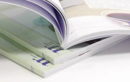 Fachbücher und Handbücher